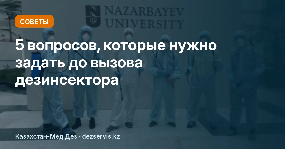 Как выбрать службу дезинсекции и не попасть на мошенников