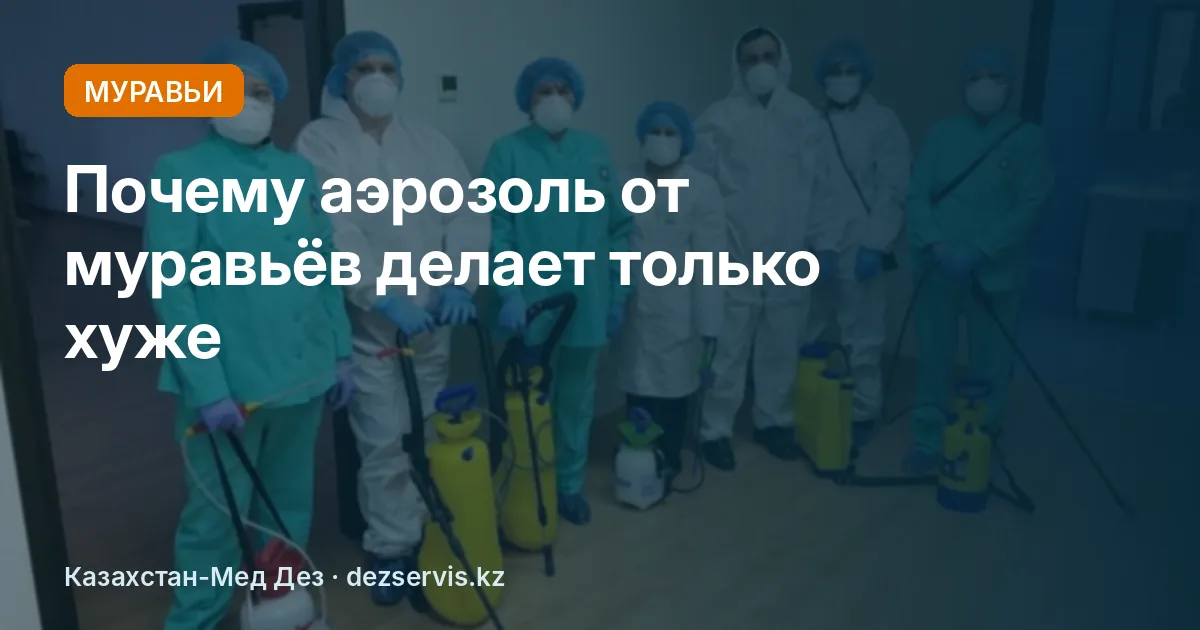 Рыжие муравьи в квартире: как вывести их навсегда